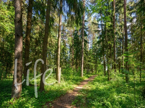 Продажа участка Резиденции Бенилюкс 270 соток Новорижское шоссе - foto1
